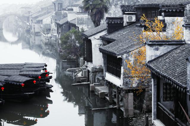 植物大战僵尸12